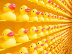 What Is an Internet Marketing Niche - Duck Toys